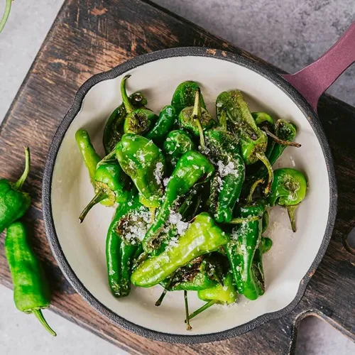 Pimentos Padrón